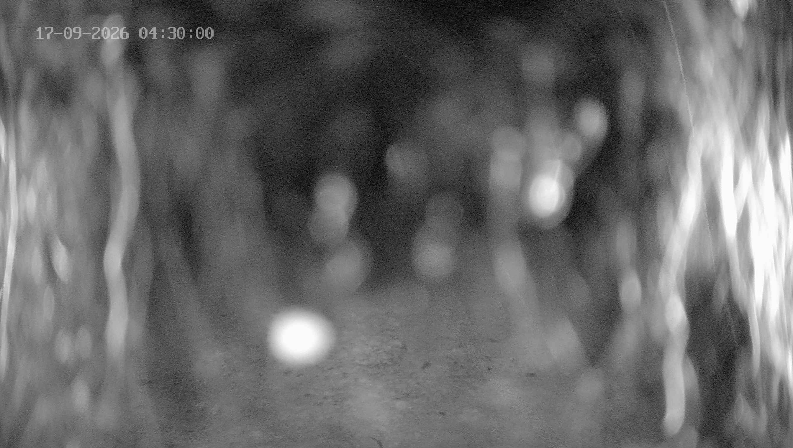 Archived image Webcam Ladurns - Wastenegg Top Station