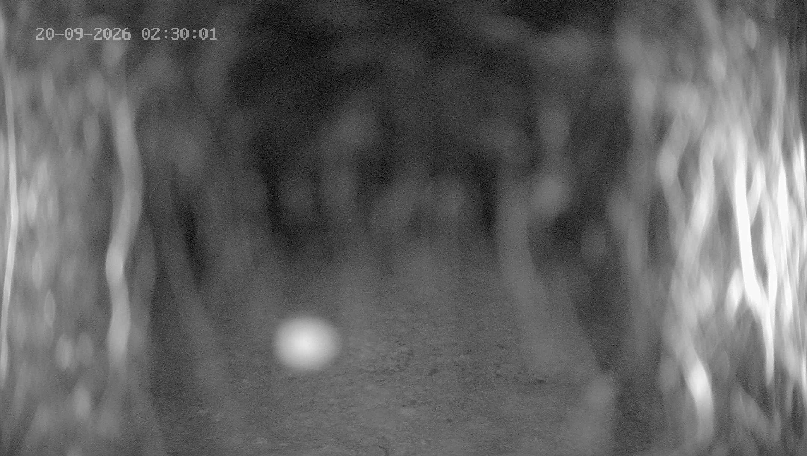 Archiv Foto Webcam Ladurns: Blick von der Bergstation Wastenegg