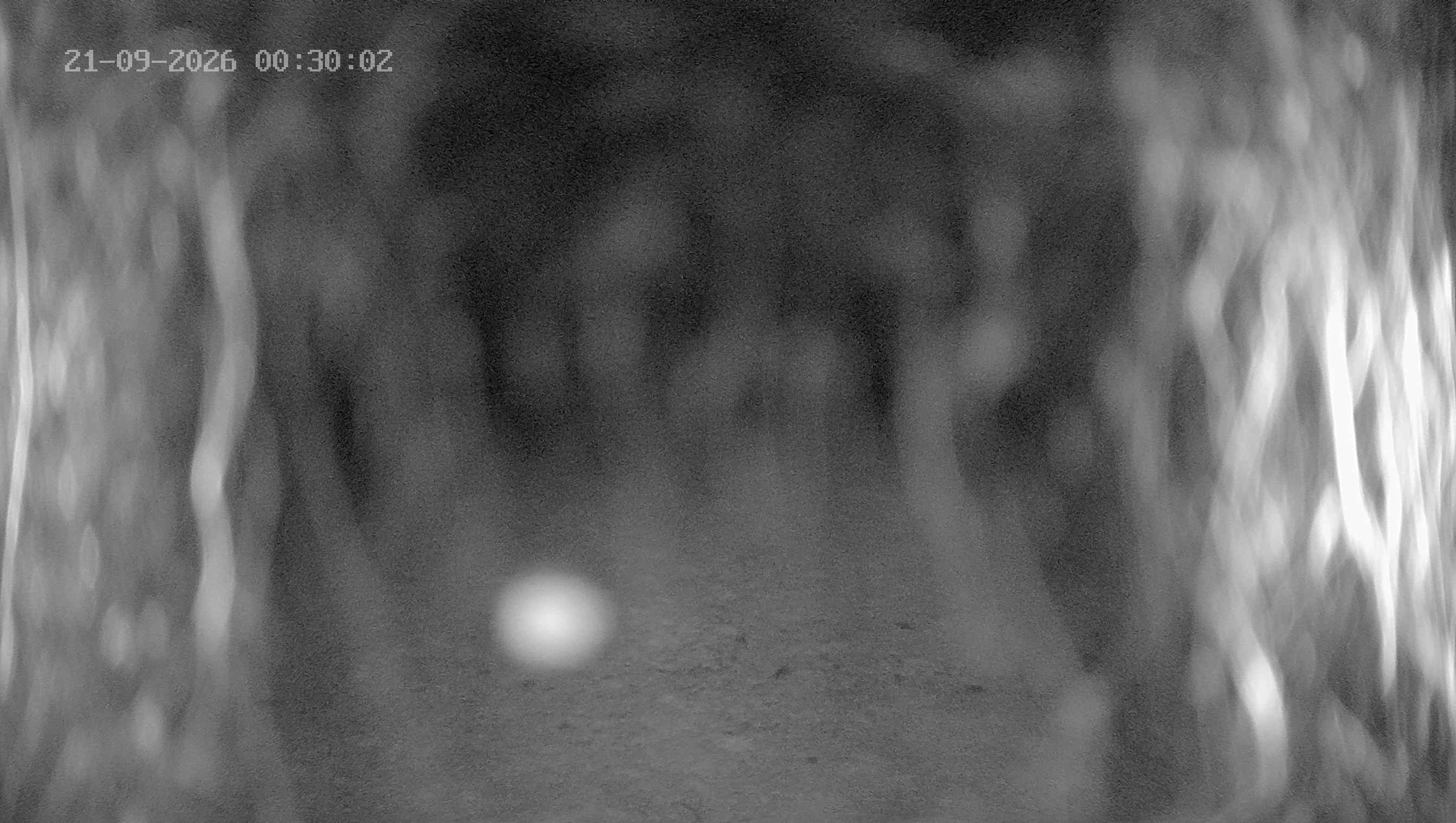 Archiv Foto Webcam Ladurns: Blick von der Bergstation Wastenegg