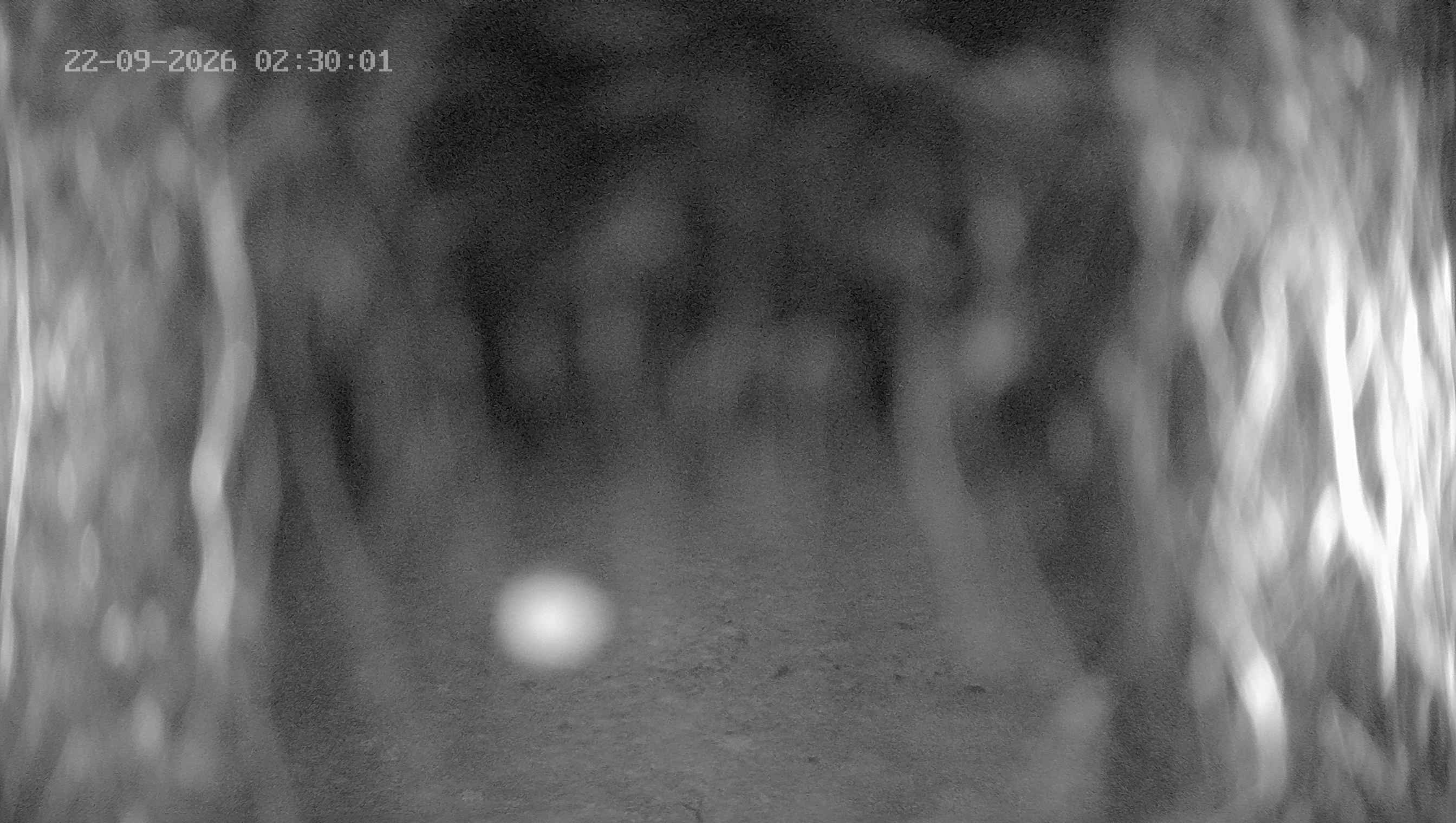 Archived image Webcam Ladurns - Wastenegg Top Station
