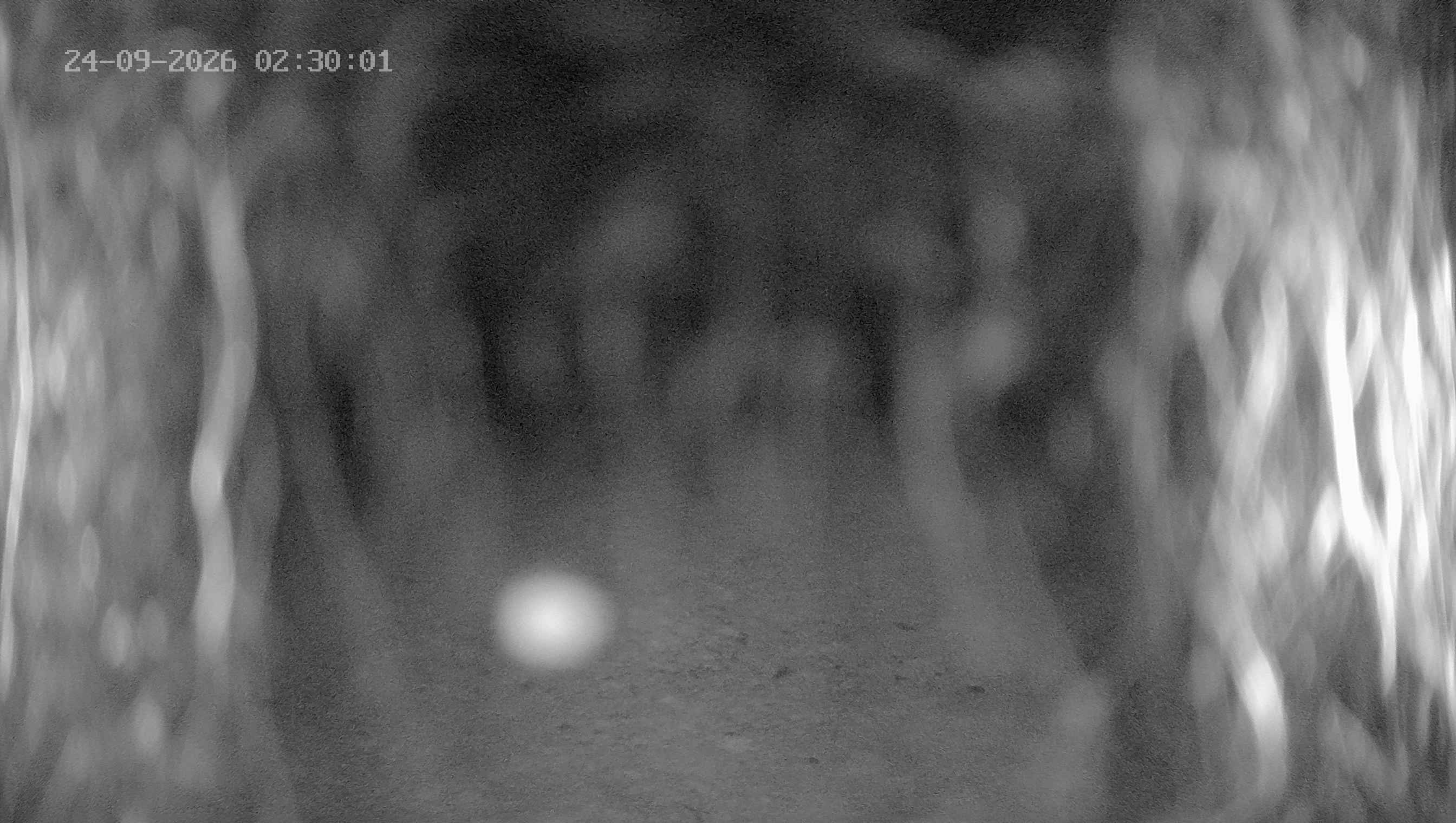 Archiv Foto Webcam Ladurns: Blick von der Bergstation Wastenegg