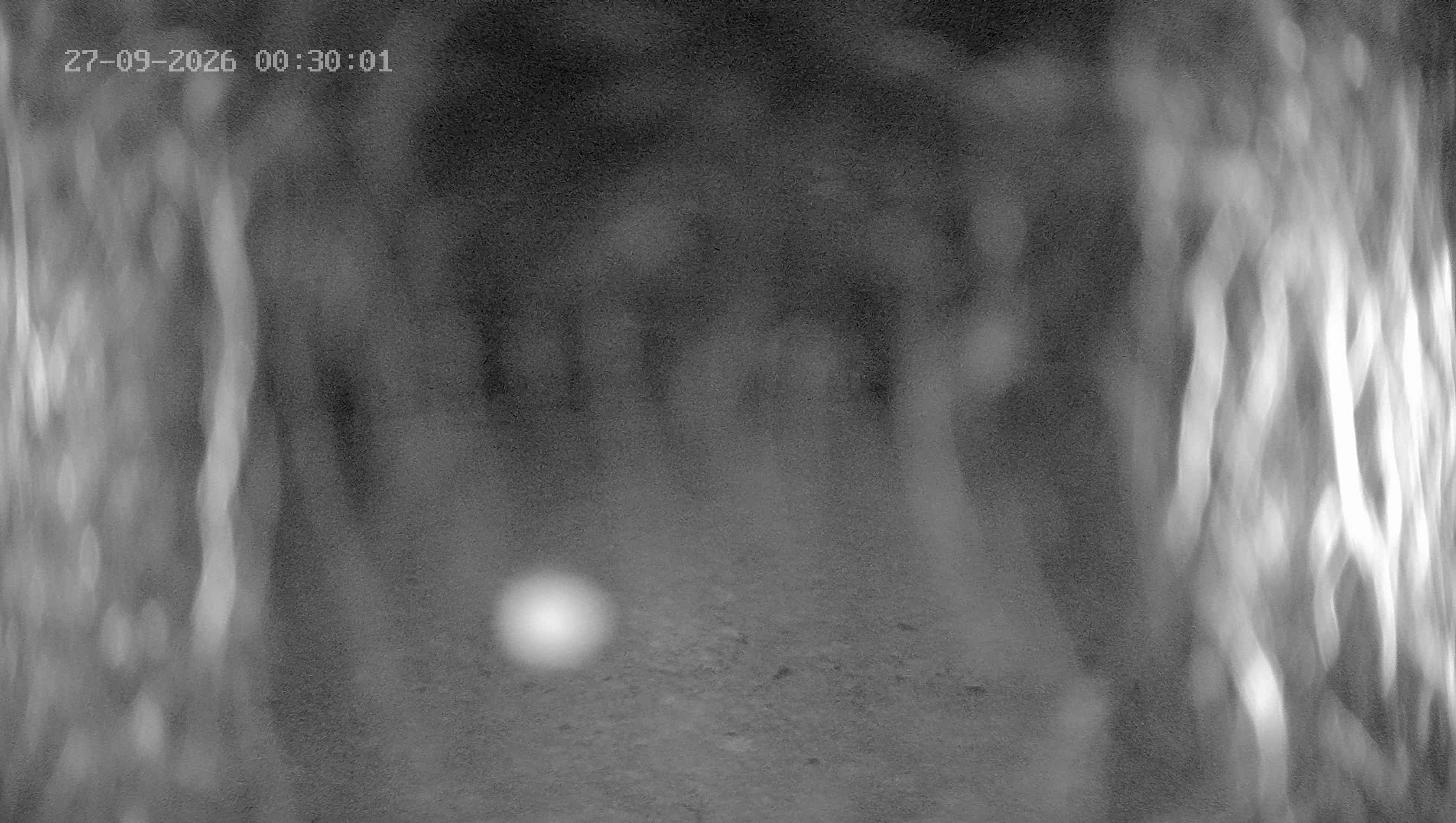 Archiv Foto Webcam Ladurns: Blick von der Bergstation Wastenegg