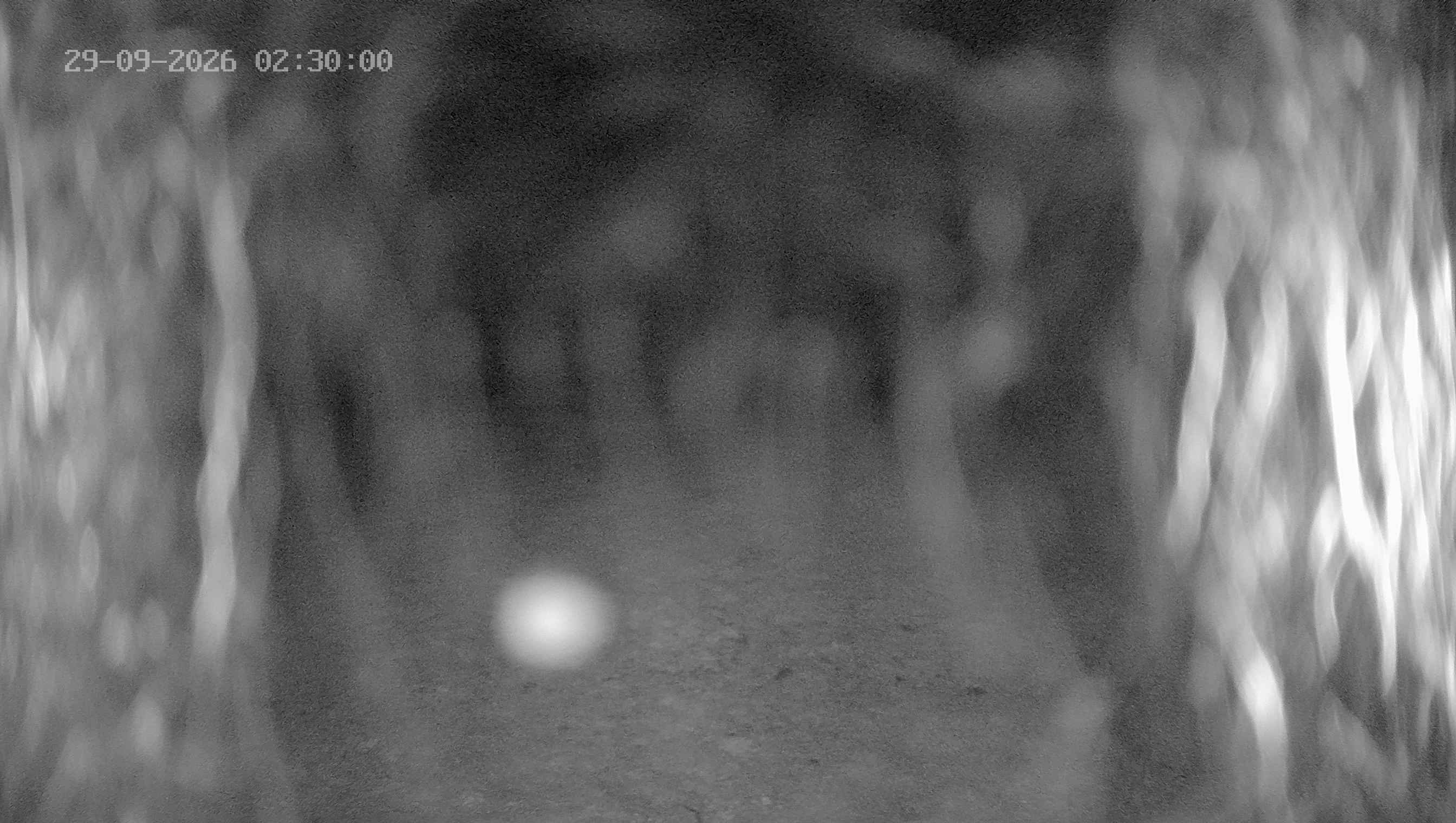 Archiv Foto Webcam Ladurns: Blick von der Bergstation Wastenegg