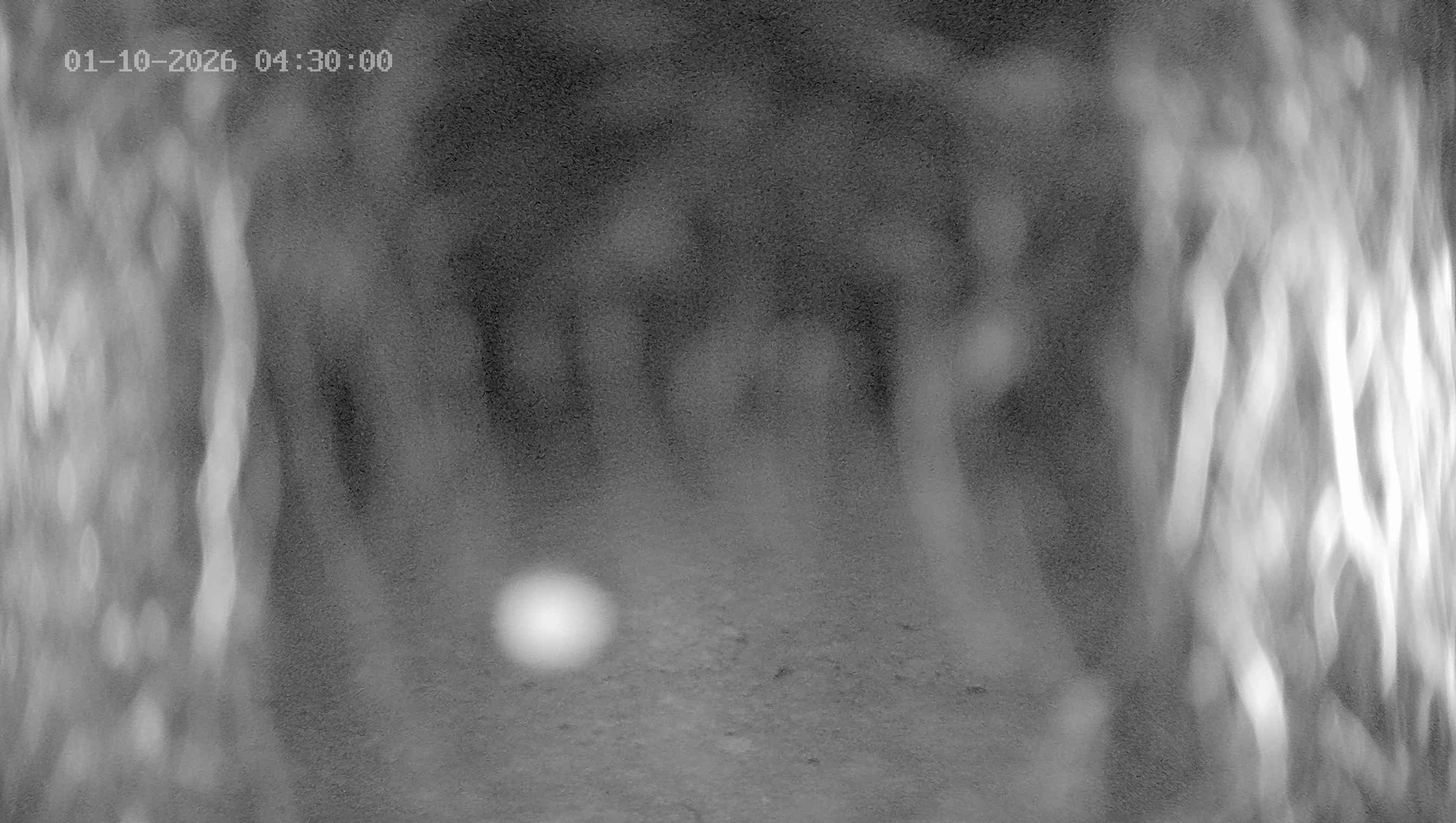 Archiv Foto Webcam Ladurns: Blick von der Bergstation Wastenegg