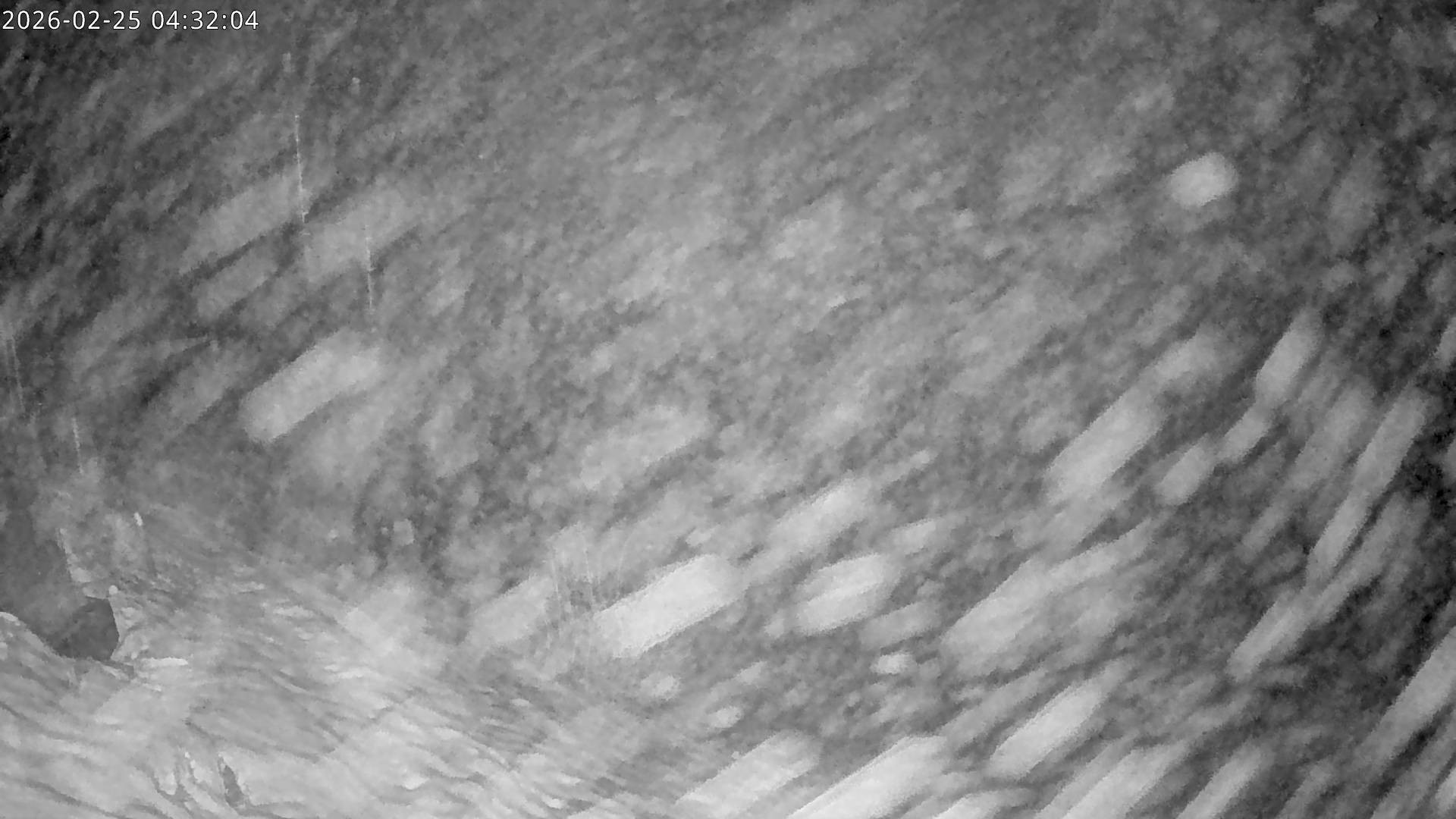 Archiv Foto Webcam Bergstation Gaisberg, Kitzbühel