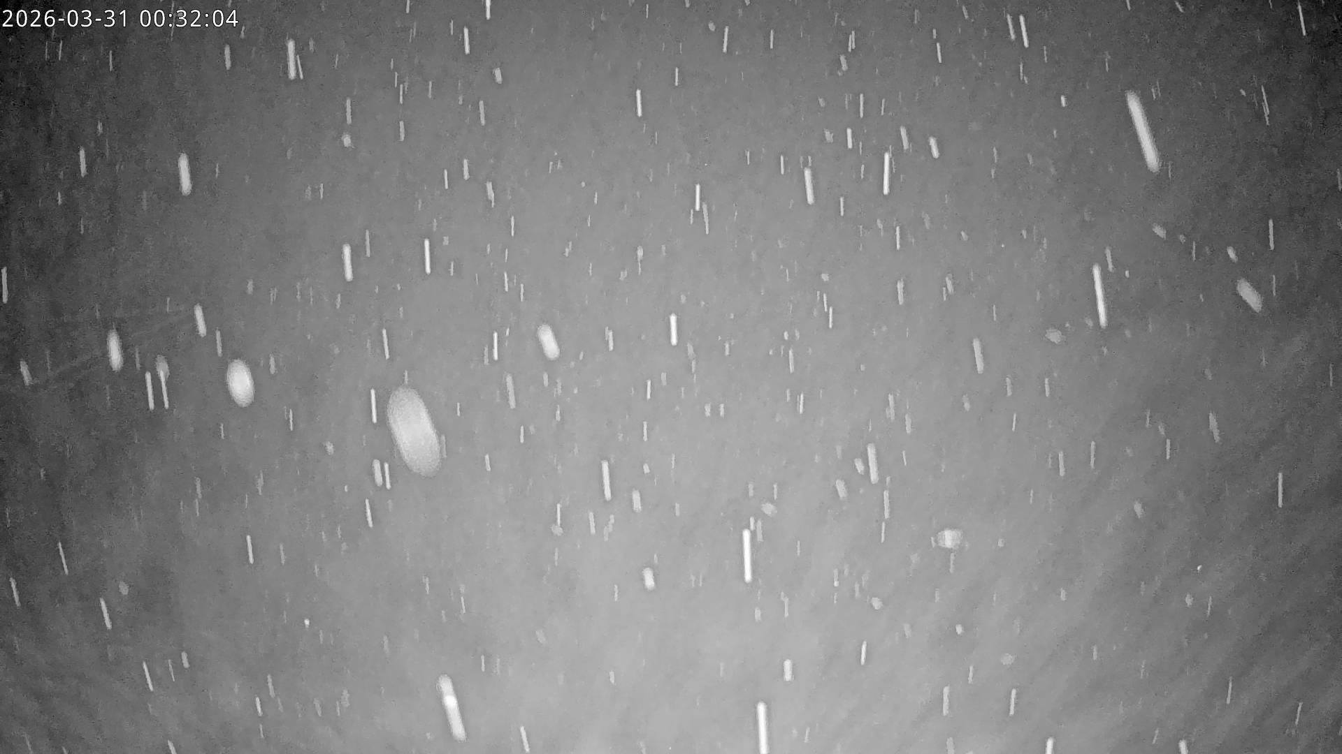 Archiv Foto Webcam Bergstation Gaisberg, Kitzbühel