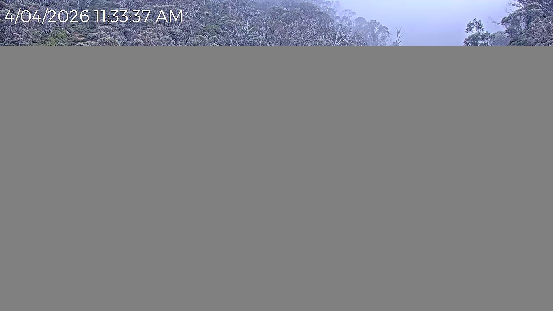 Archived image Webcam Snake Gully - Mt Hotham