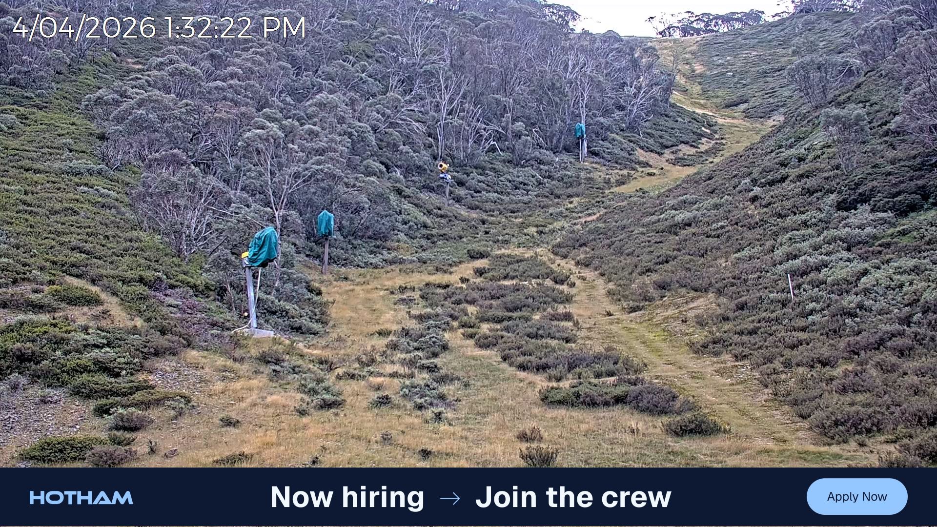 Archived image Webcam Snake Gully - Mt Hotham