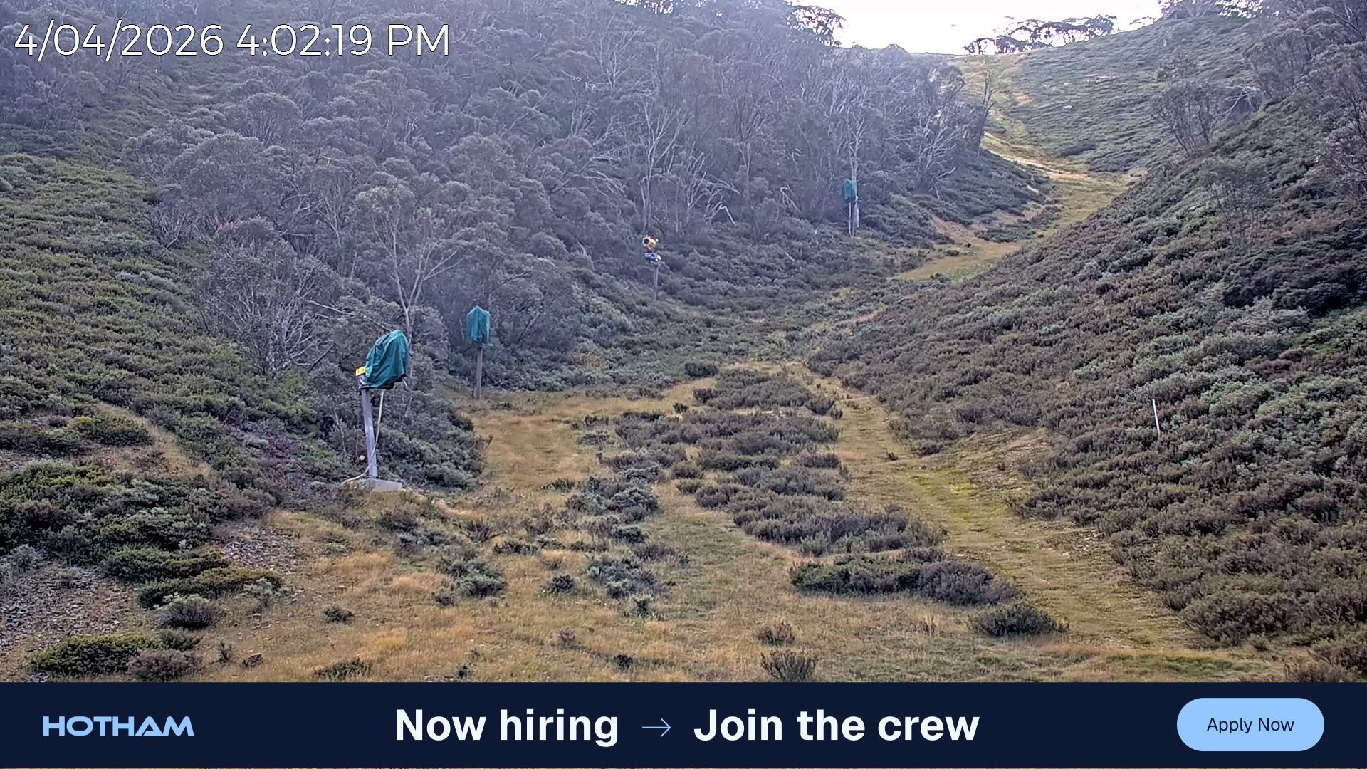 Archiv Foto Webcam Snake Gully at Mt Hotham