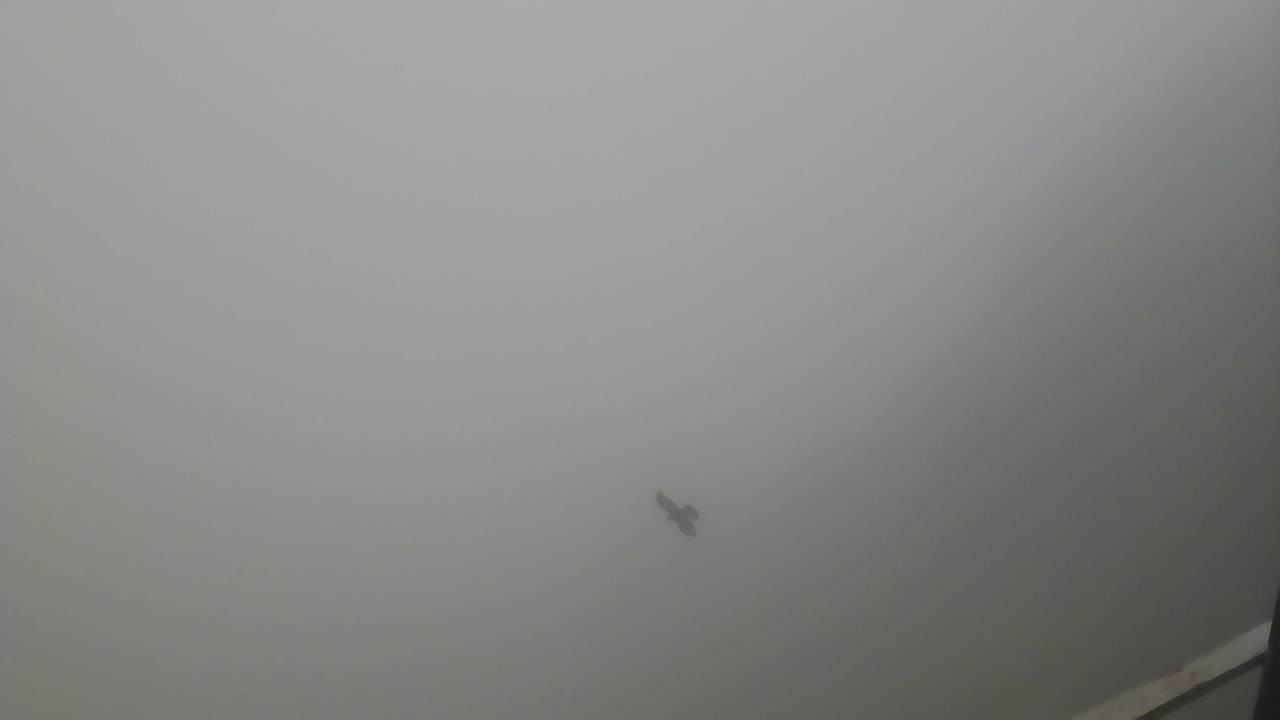 Archiv Foto Webcam Gaststätte Feuerkogelhaus