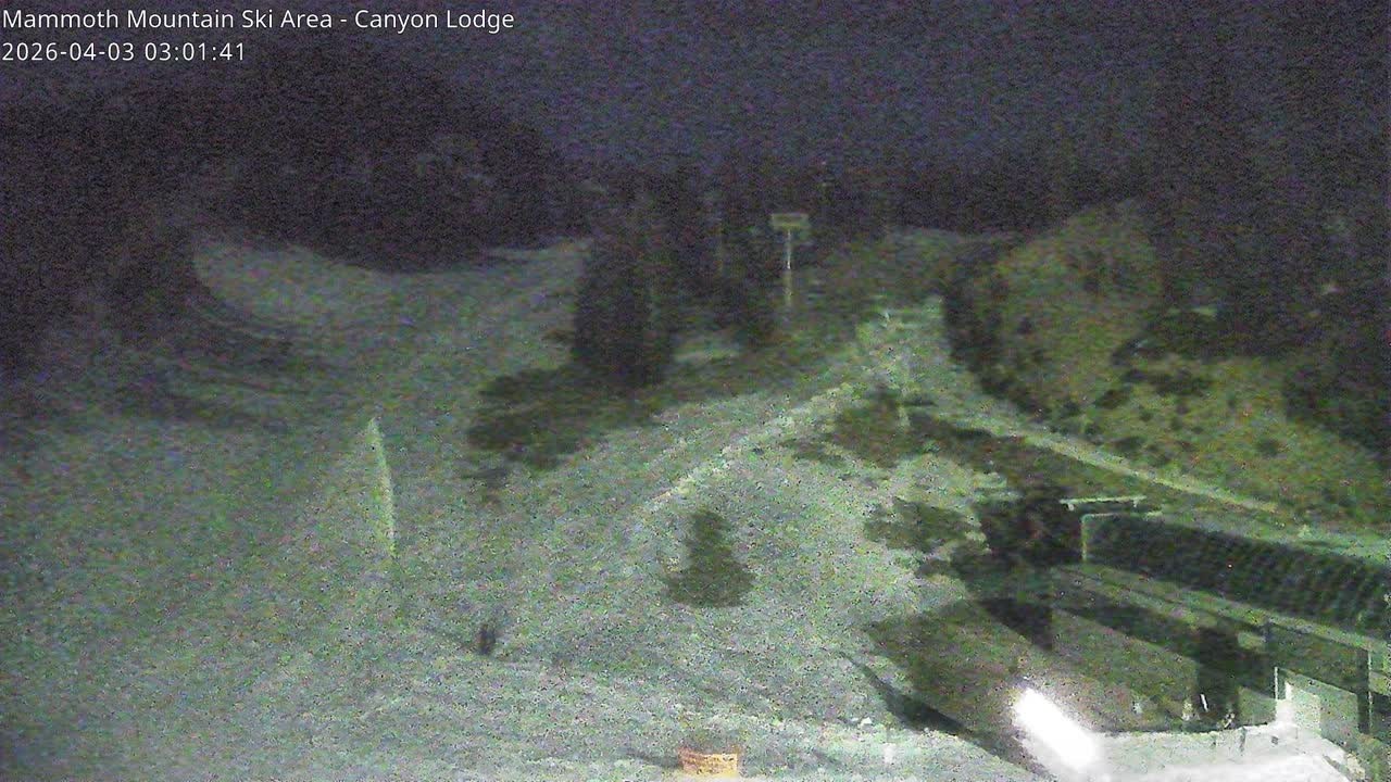 Archived image Webcam Mammoth Mountain: Canyon Lodge