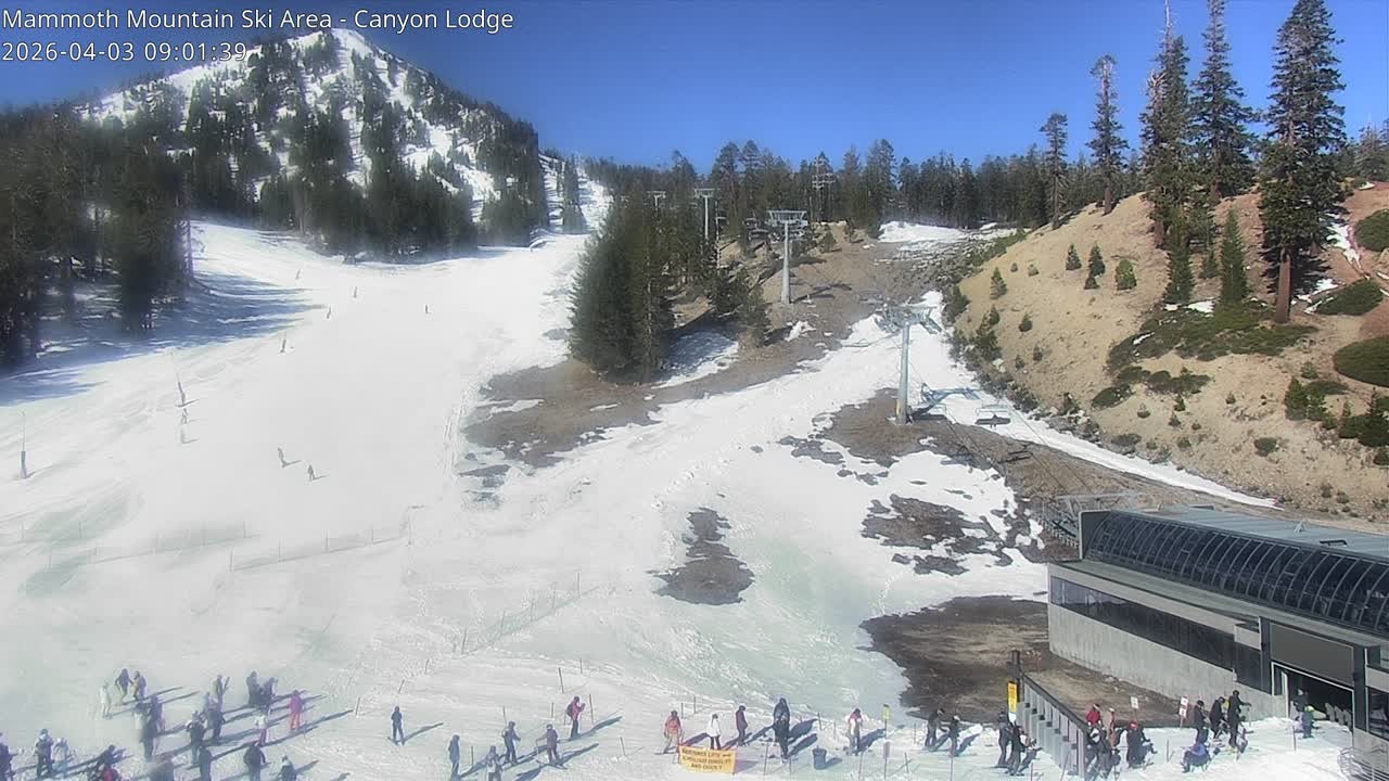 Archived image Webcam Mammoth Mountain: Canyon Lodge