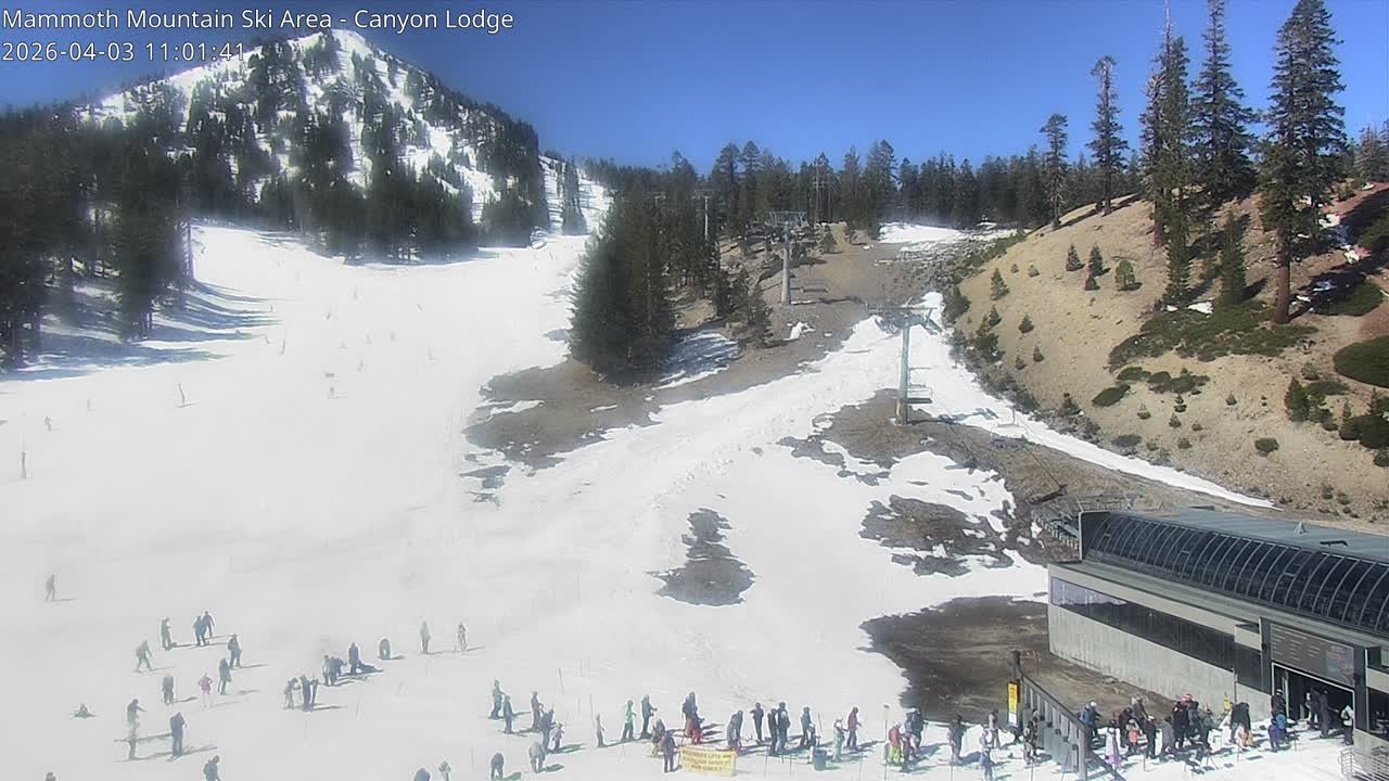 Archived image Webcam Mammoth Mountain: Canyon Lodge