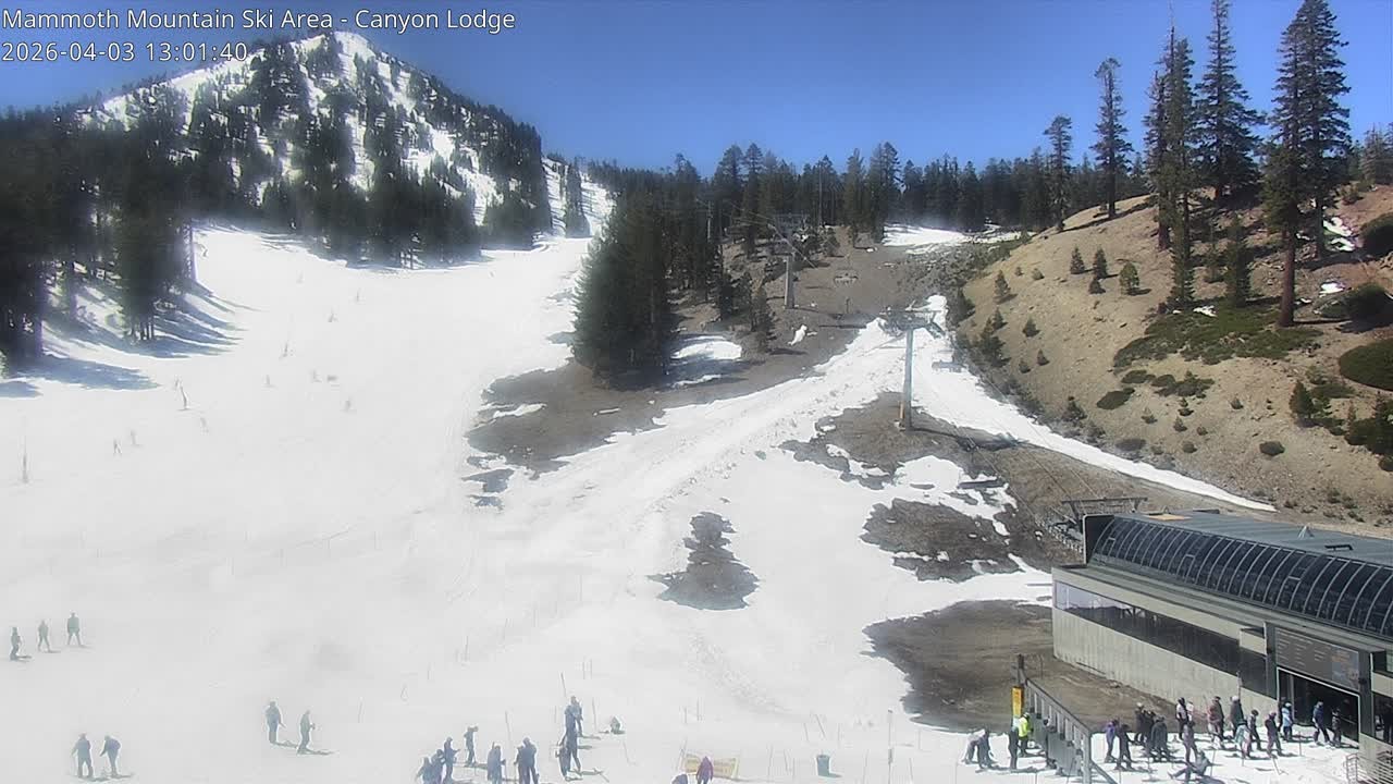 Archived image Webcam Mammoth Mountain: Canyon Lodge