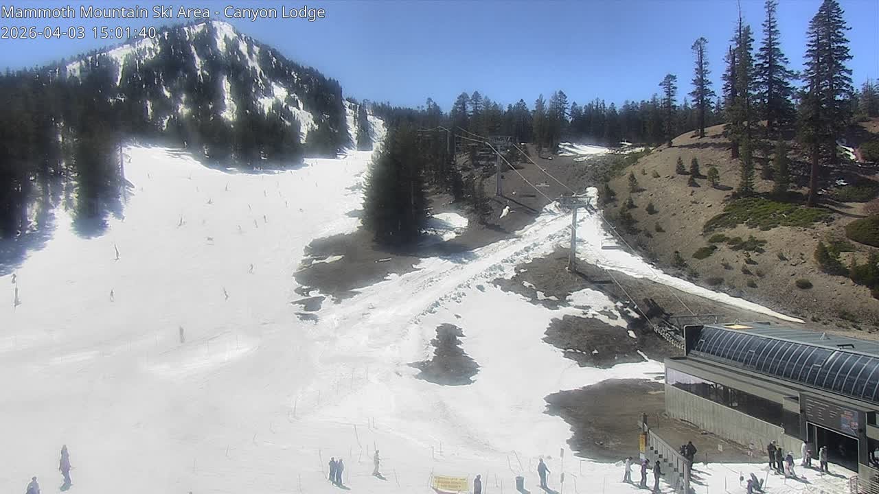 Archived image Webcam Mammoth Mountain: Canyon Lodge