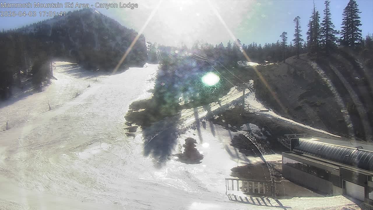 Archived image Webcam Mammoth Mountain: Canyon Lodge