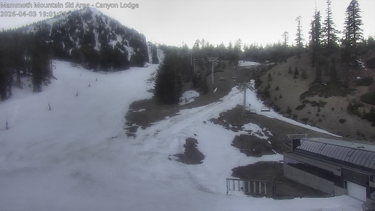 Archived image Webcam Mammoth Mountain: Canyon Lodge
