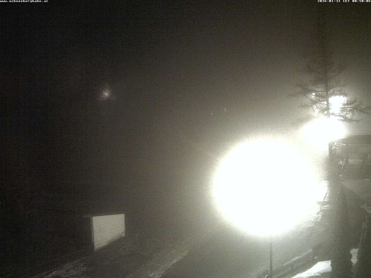 Archiv Foto Webcam Schlepplift - Puchberg am Schneeberg