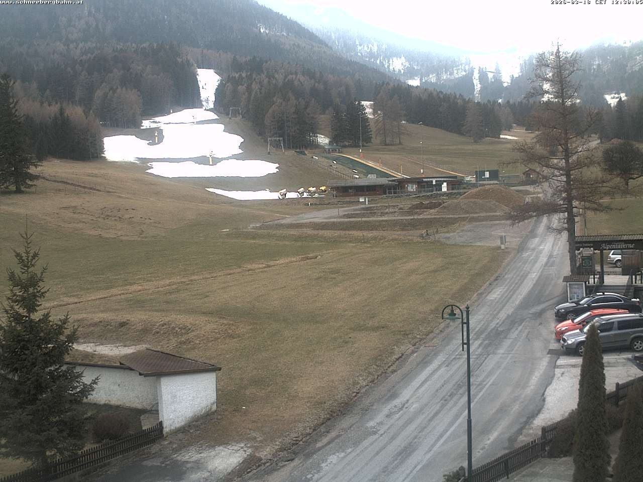 Archiv Foto Webcam Schlepplift - Puchberg am Schneeberg