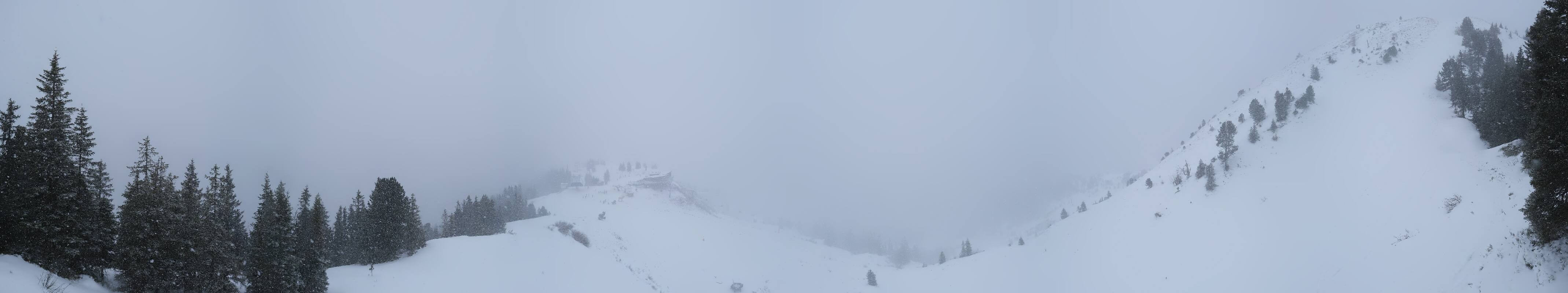 Archiv Foto Webcam Hochsitz (1.820 m)