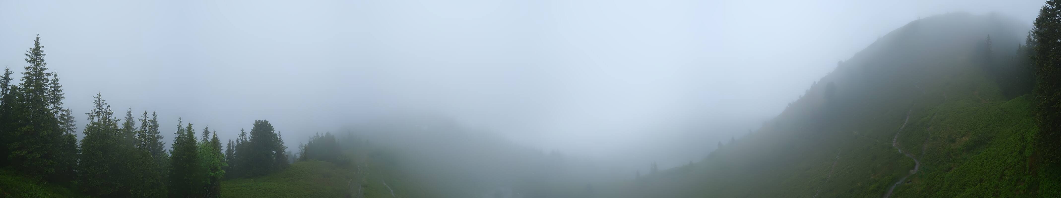 Archived image Webcam Hochsitz (1.820 m)