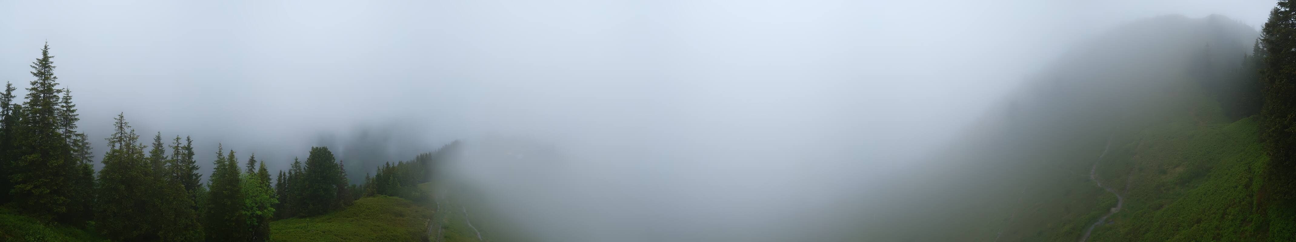Archived image Webcam Hochsitz (1.820 m)