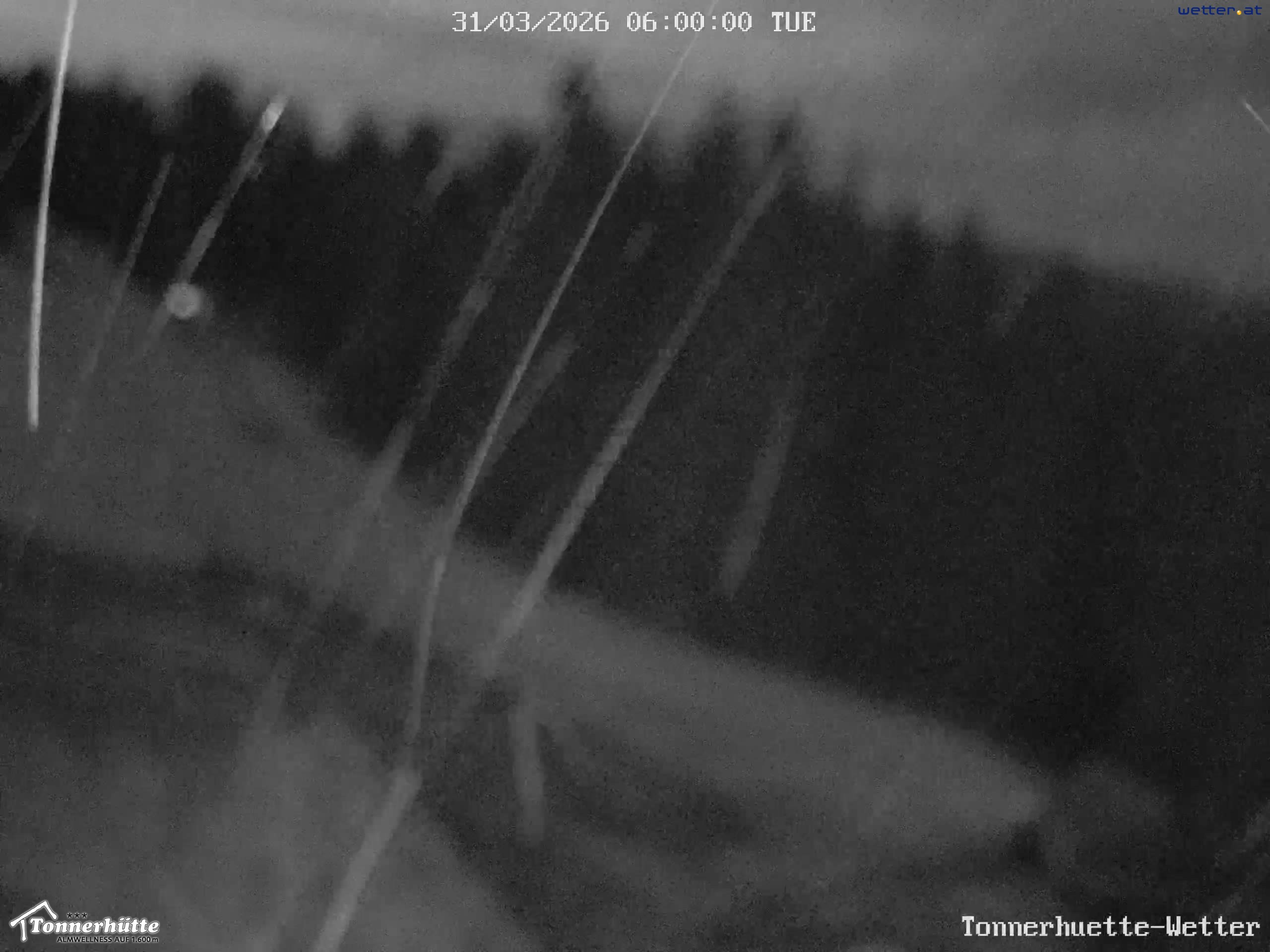 Archiv Foto Webcam Steiermark, Tonnerhütte