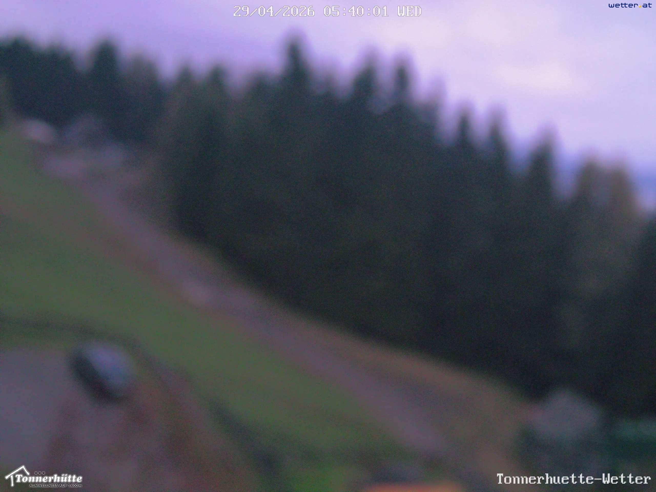 Archiv Foto Webcam Steiermark, Tonnerhütte