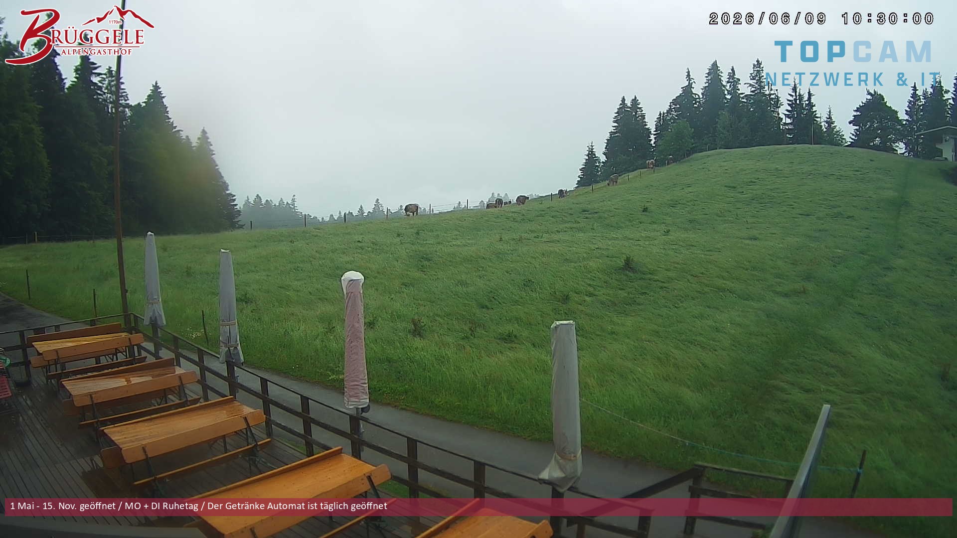 Archiv Foto Webcam Alberschwende, Alpengasthof Brüggele