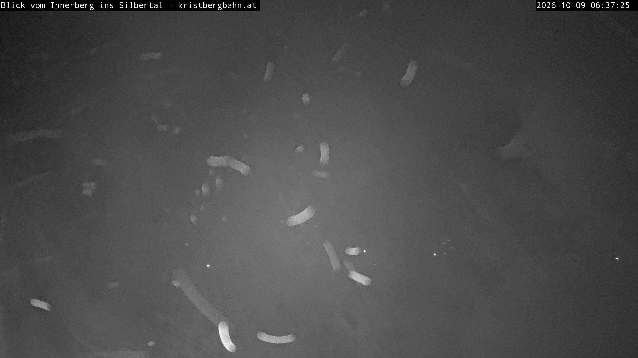 Archiv Foto Webcam Innerberg, Silbertal