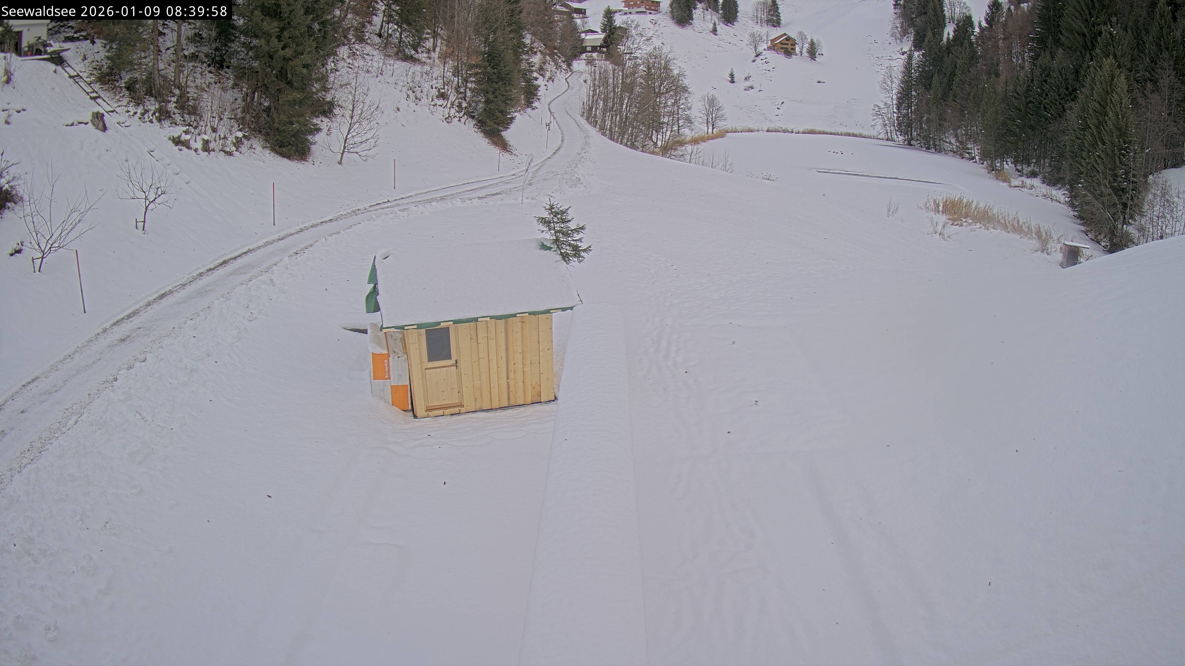 Archiv Foto Webcam Fontanella: Seewaldsee