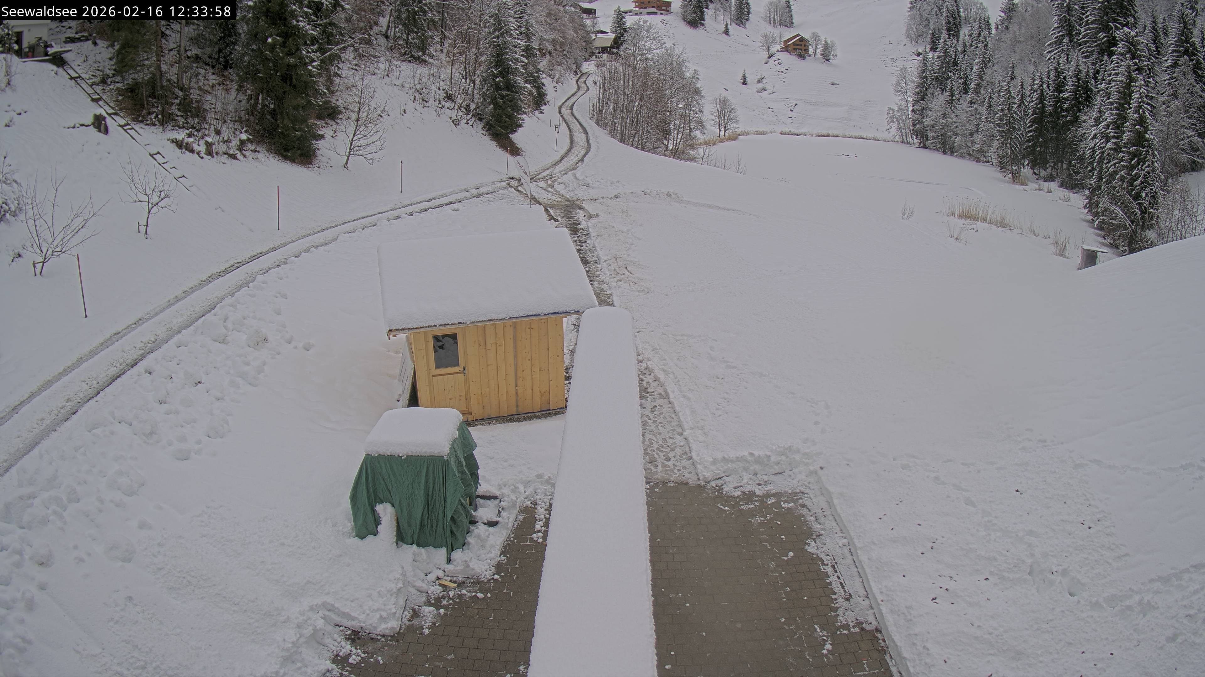 Archiv Foto Webcam Fontanella: Seewaldsee