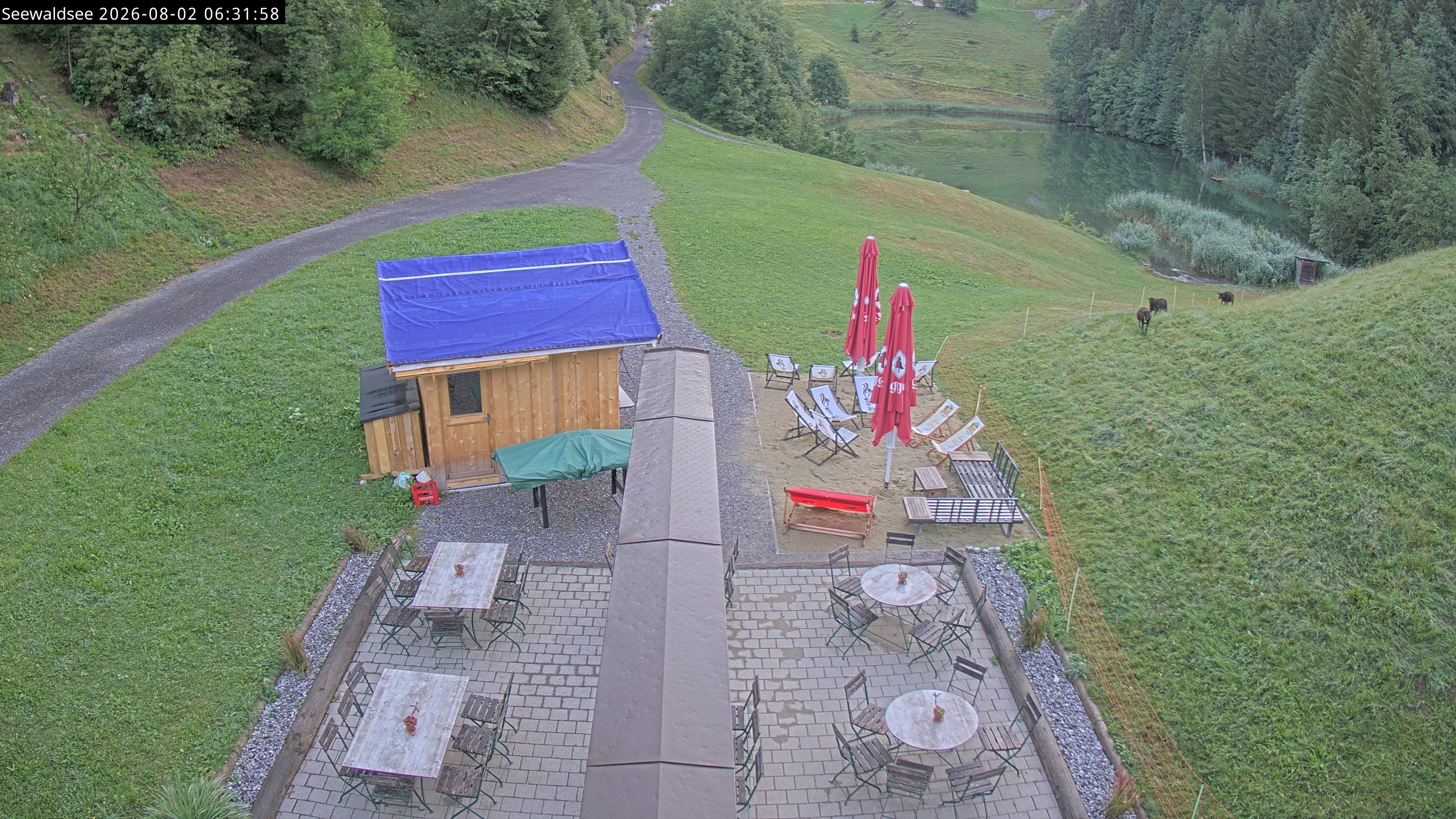 Archiv Foto Webcam Fontanella: Seewaldsee