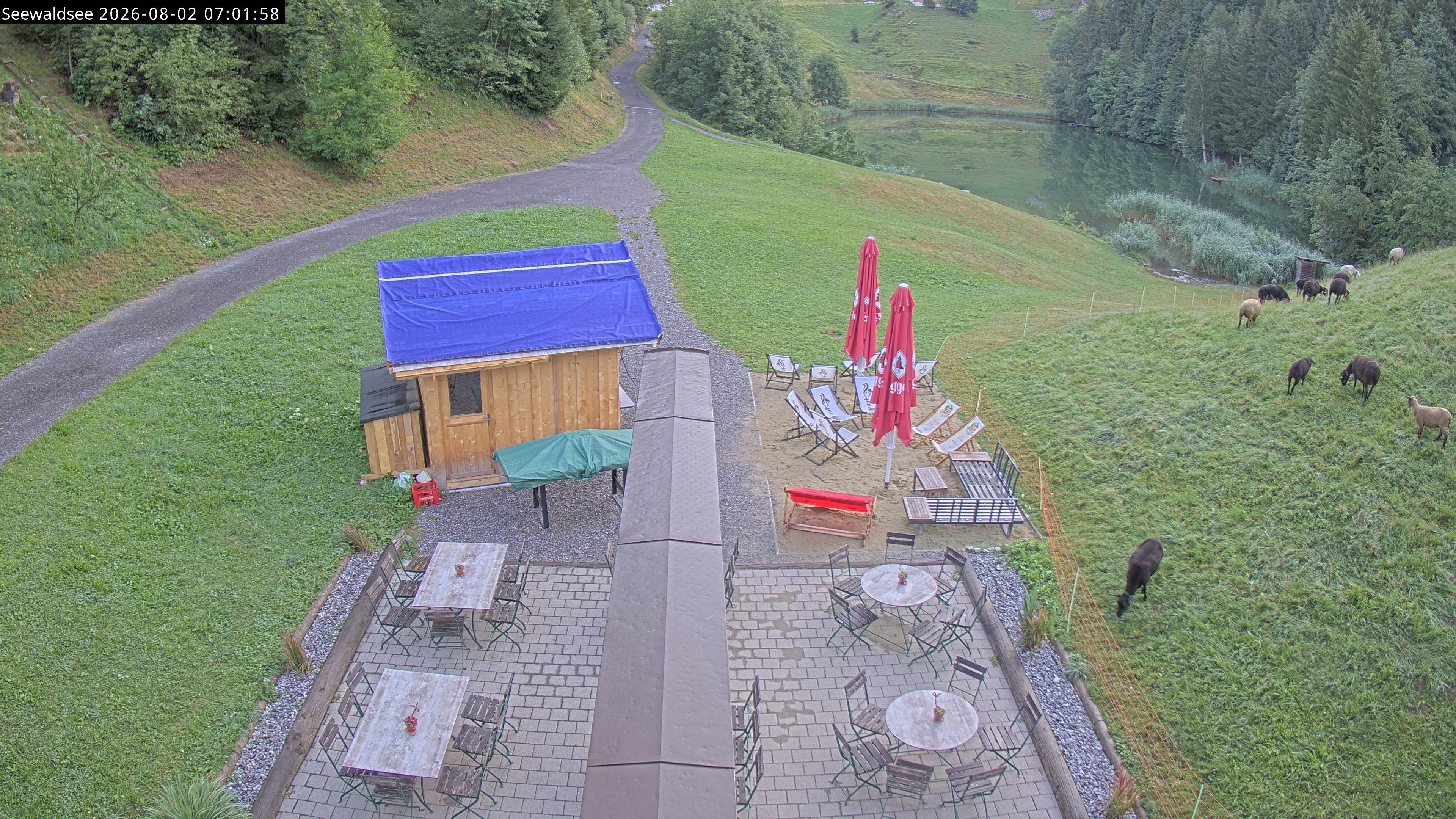 Archiv Foto Webcam Fontanella: Seewaldsee