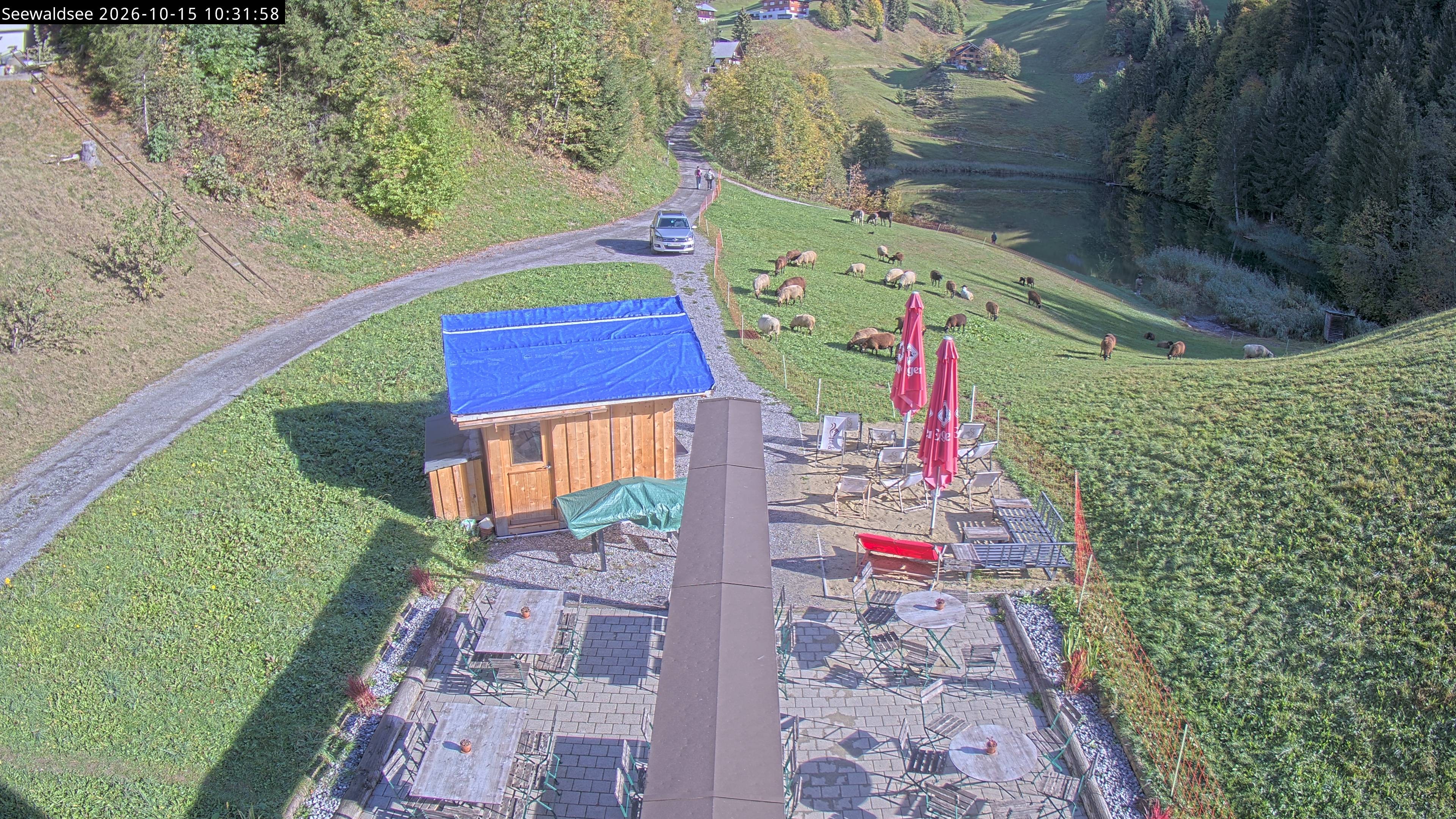 Archiv Foto Webcam Fontanella: Seewaldsee