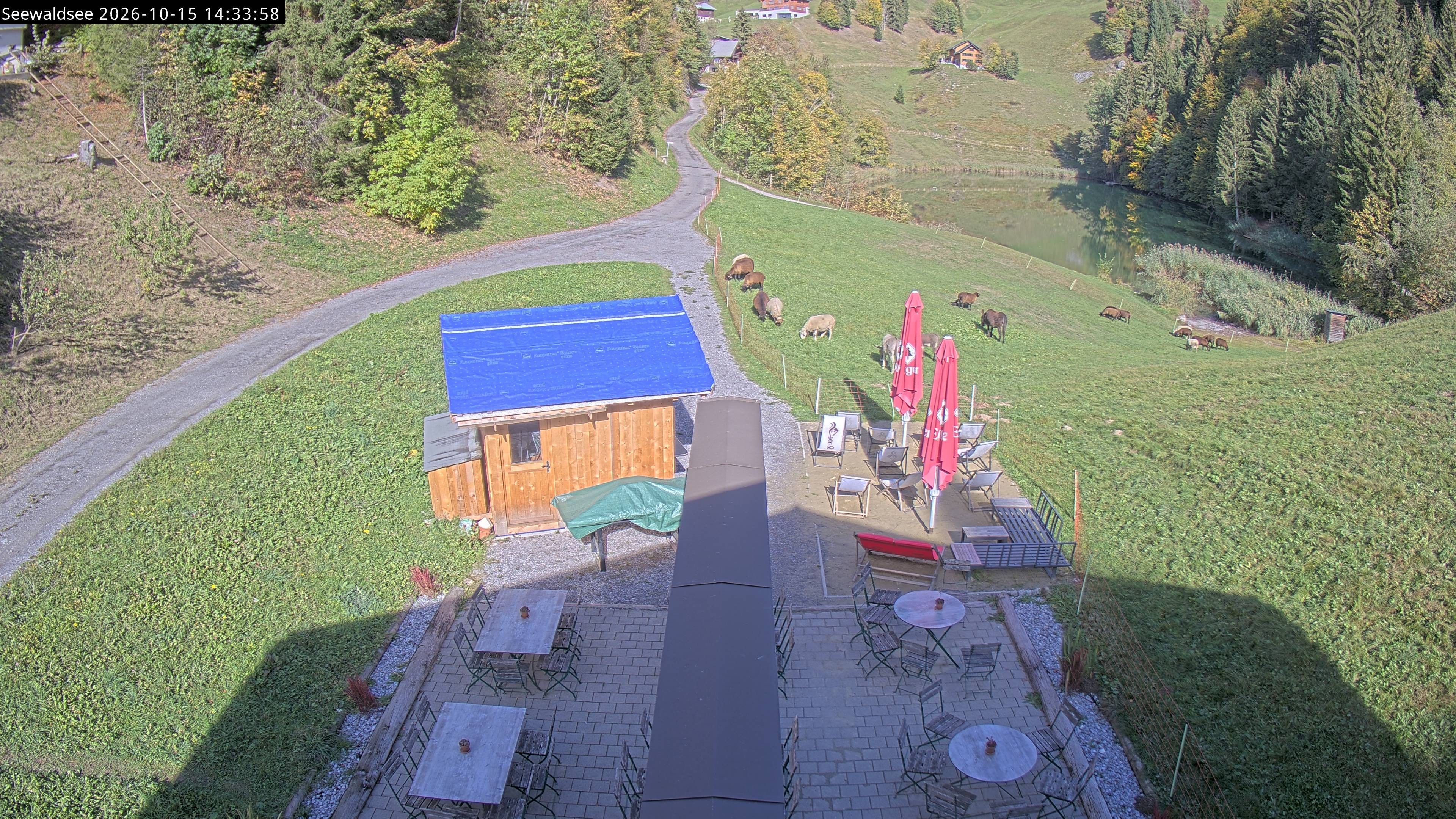Archiv Foto Webcam Fontanella: Seewaldsee