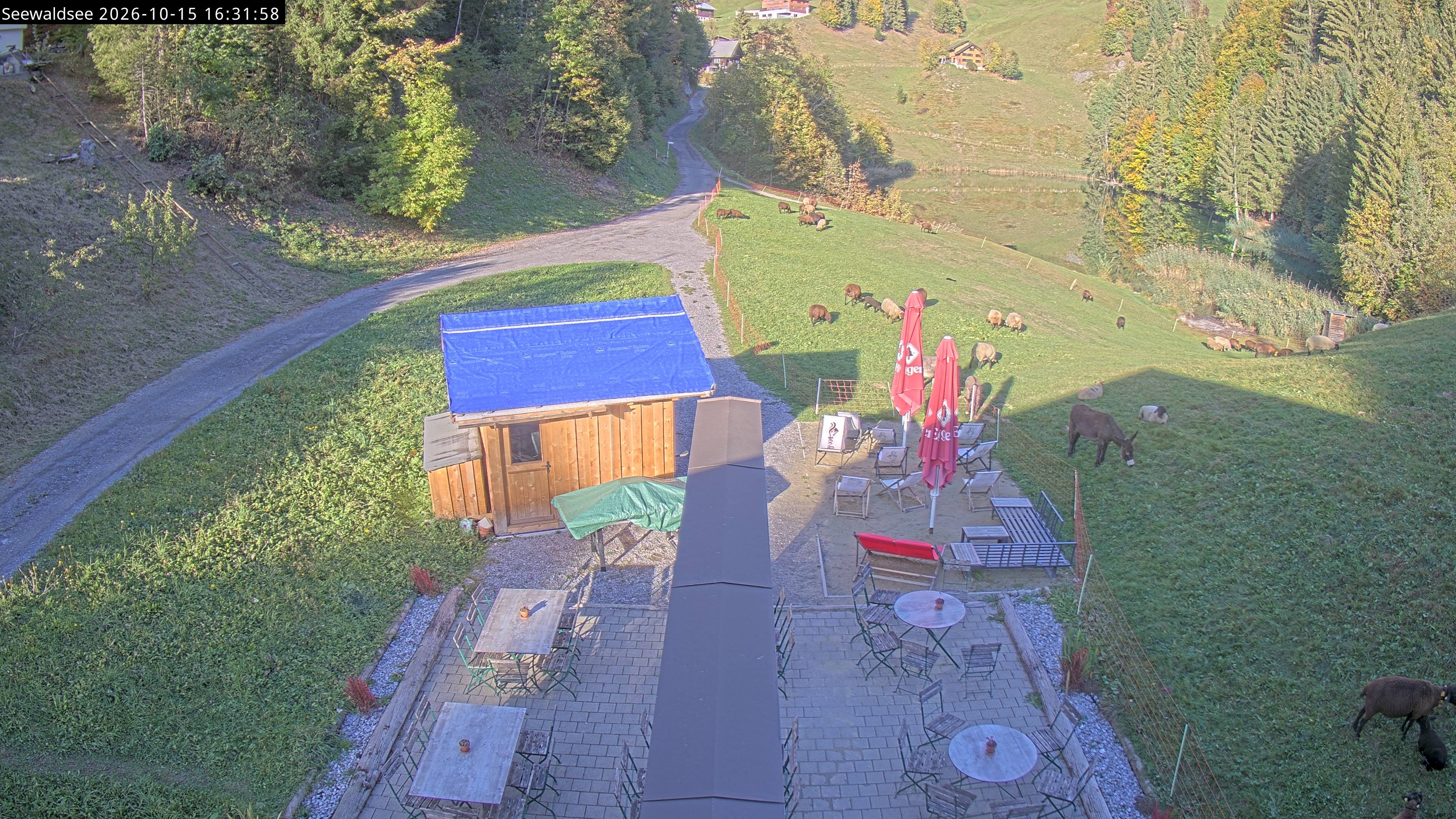 Archiv Foto Webcam Fontanella: Seewaldsee