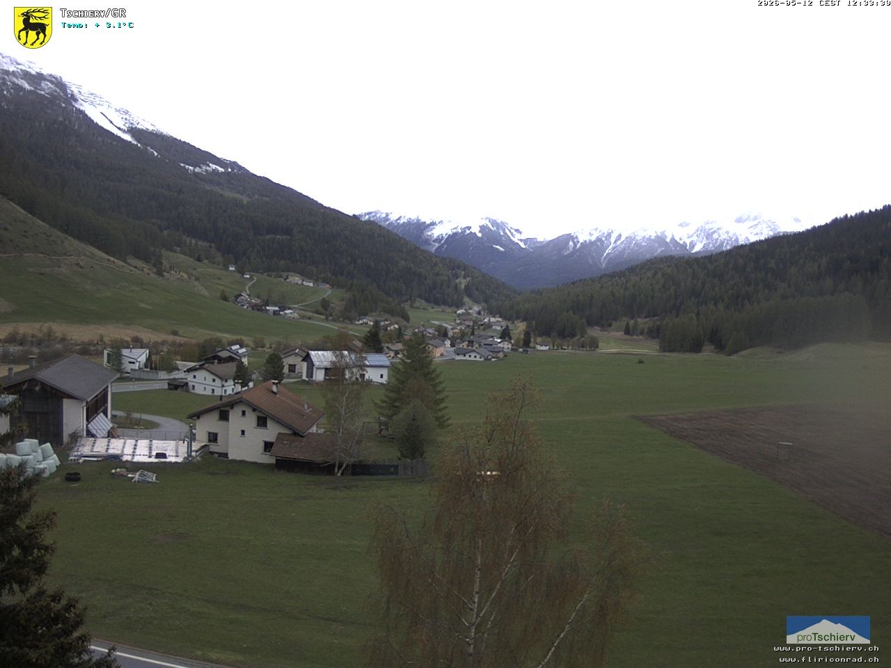 Archiv Foto Webcam Dorf Tschierv
