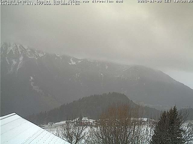 Archiv Foto Webcam Chalet Sybil, Blick südöstliche Richtung
