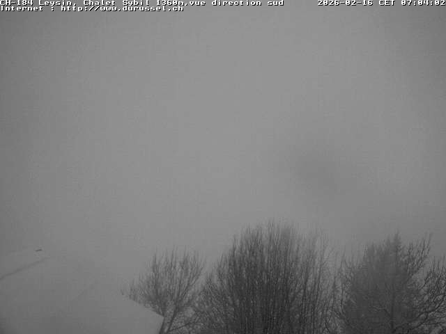 Archiv Foto Webcam Chalet Sybil, Blick südöstliche Richtung