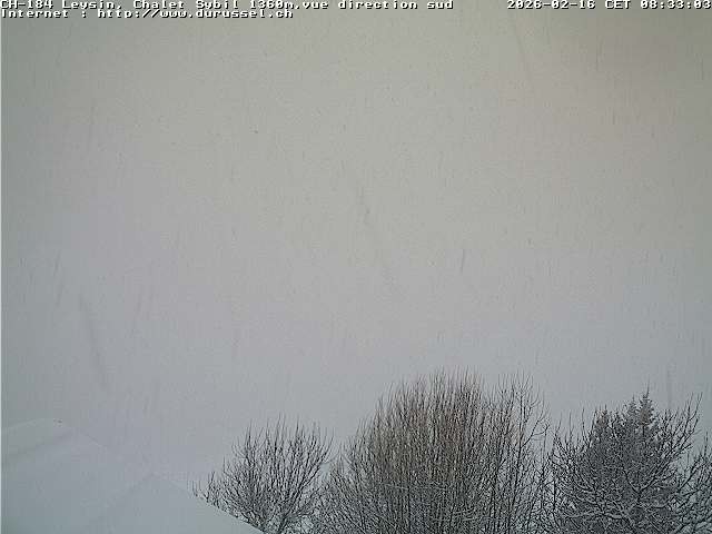 Archiv Foto Webcam Chalet Sybil, Blick südöstliche Richtung