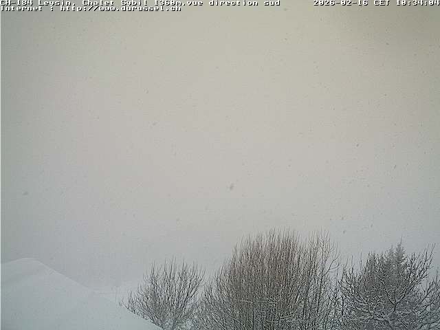 Archiv Foto Webcam Chalet Sybil, Blick südöstliche Richtung