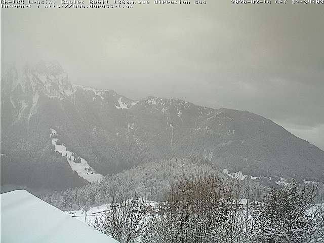 Archiv Foto Webcam Chalet Sybil, Blick südöstliche Richtung
