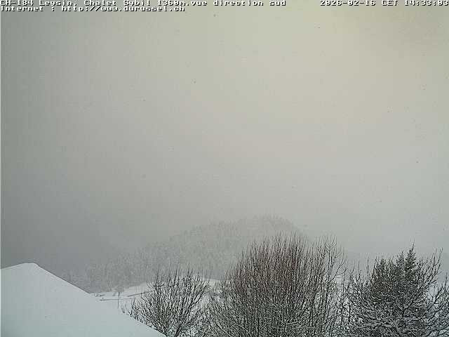 Archiv Foto Webcam Chalet Sybil, Blick südöstliche Richtung