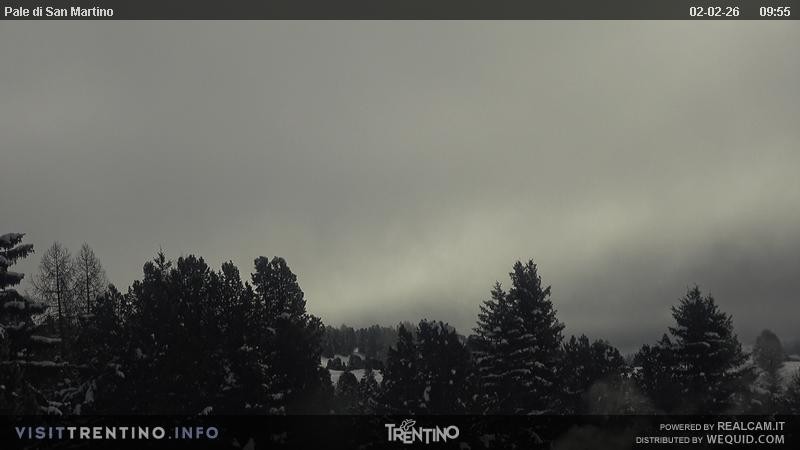 Archiv Foto Webcam Pale di San Martino, Trentino