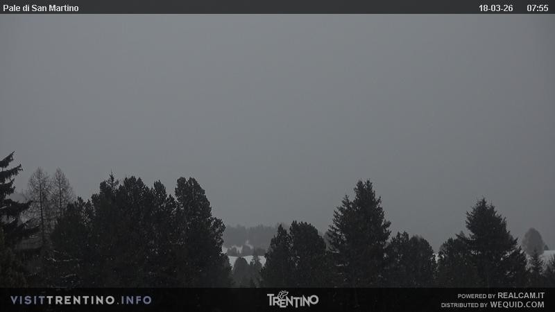 Archiv Foto Webcam Pale di San Martino, Trentino