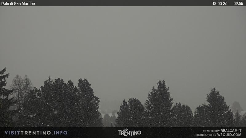 Archiv Foto Webcam Pale di San Martino, Trentino