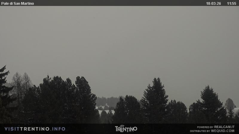 Archiv Foto Webcam Pale di San Martino, Trentino