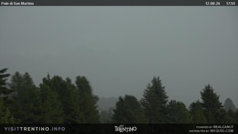 Archiv Foto Webcam Pale di San Martino, Trentino