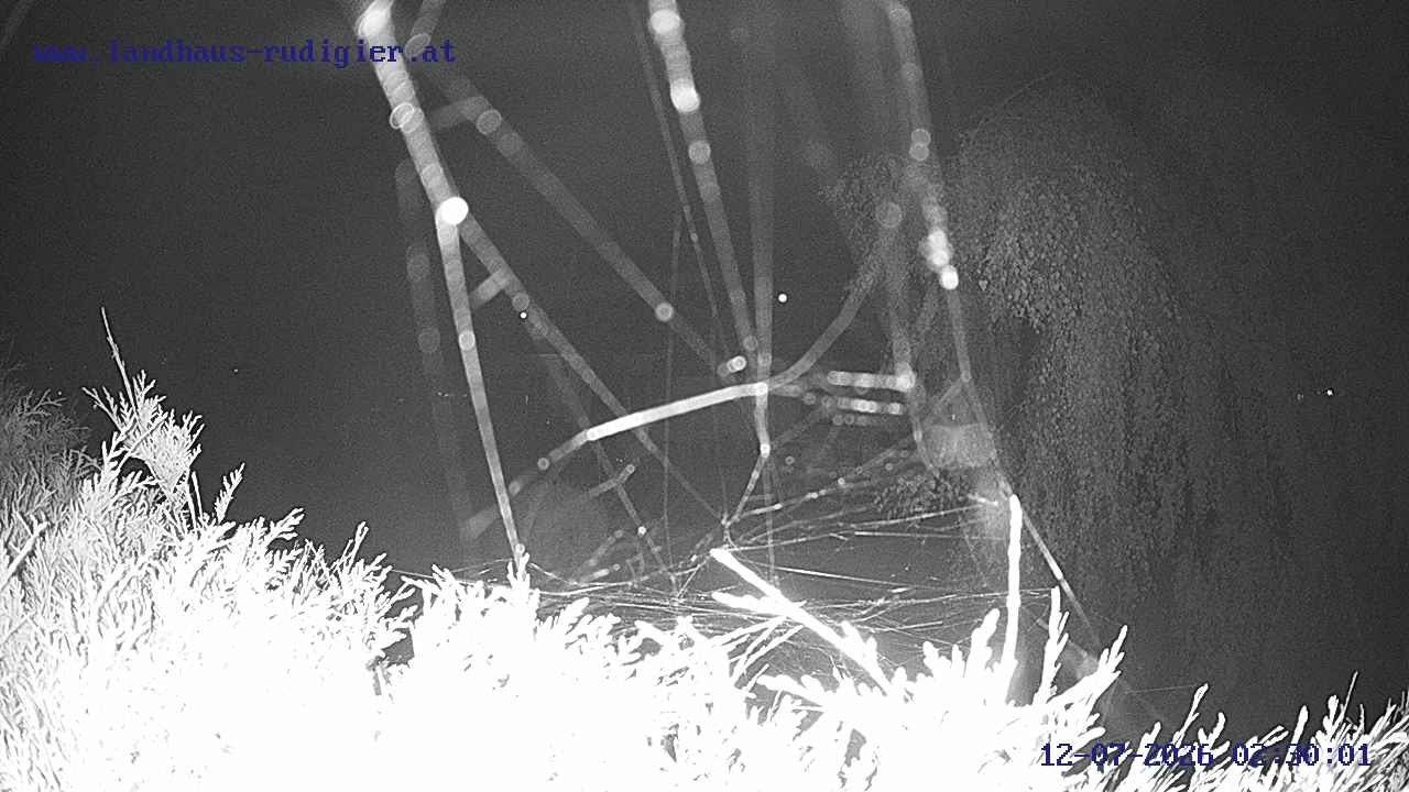 Archived image Webcam St. Gallenkirch, Vorarlberg